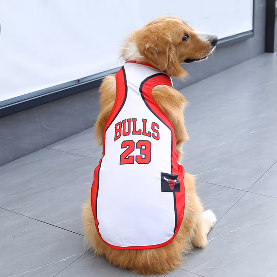 Custom-Tailor Special Cables for Drag Chains, Trailing Cables, Towline Cables